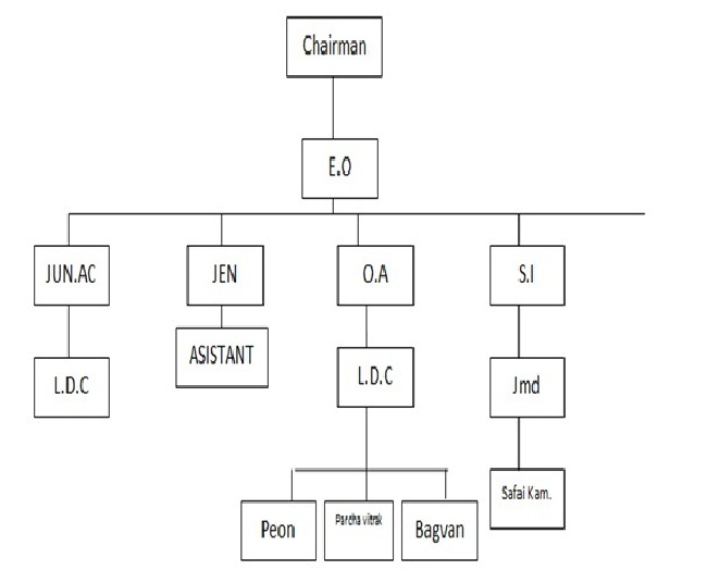 Organizational Chart